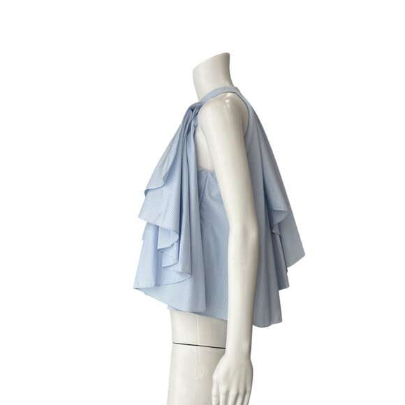 $395 Caroline Constas Blue White Pinstripe Adrie Poplin Pleated Blouse size XS - Picture 5 of 11